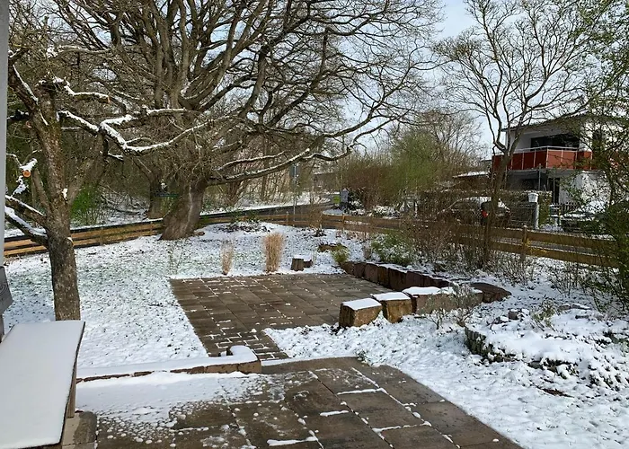 Buchenblick カッセル